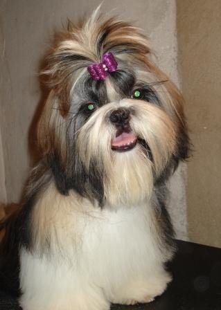 Divine Idil de saranankara